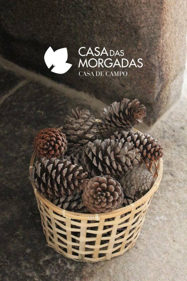 Casa Das Morgadas Nelas Bagian luar foto